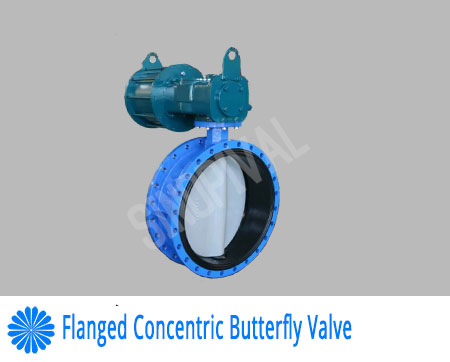 flanged concentric butterfly valve