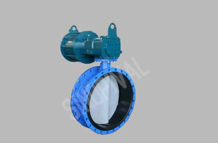 Flaned Concentric Butterfly Valve