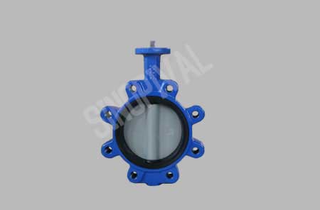 Lug Concentric Butterfly Valve