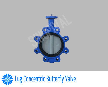 lug concentric butterfly valve