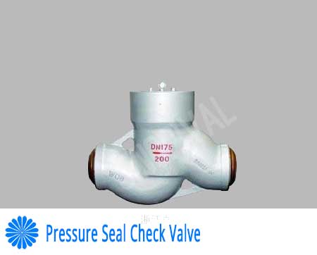 Pressure Seal Check Valve