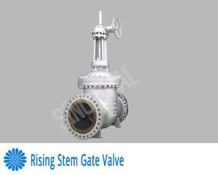 Rising Stem Gate Valve