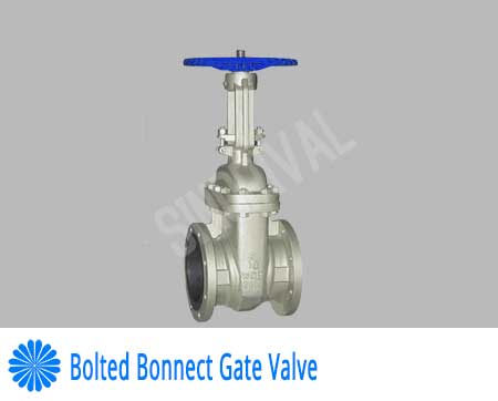 Bolted Bonnet Gate Valve