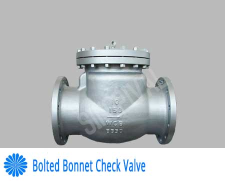 Bolted Bonnet Check Valve