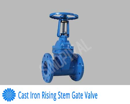 Cast Iron Rising Stem Gate Valve