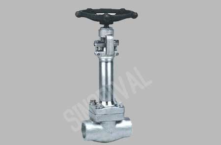 Cryogenic Globe Valve