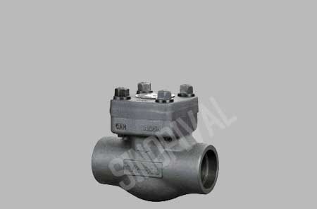 Forged Check Valve