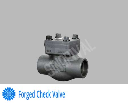 Forged Check Valve