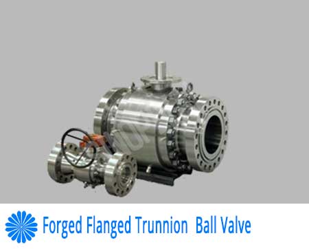 Forged Flanged Trunnion Ball Valve