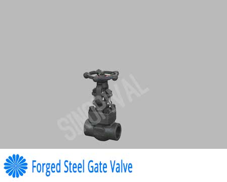 Forged Steel Gate Valve