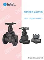 forged valve