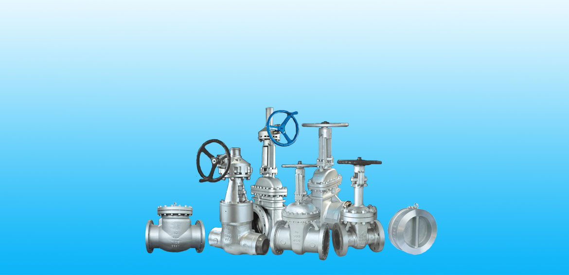 Butterfly valve,ball valve,check valve,gate valve,globe valve,plug valve